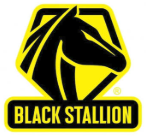 Black Stallion
